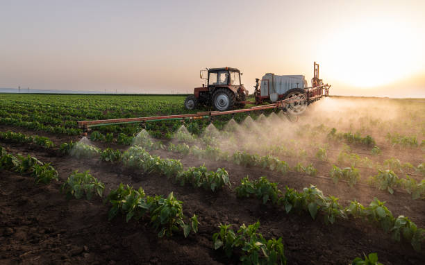Best Spider Control Near Me  in Poplar Cotton Center, CA