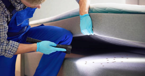 Wasp Removal Services in Poplar Cotton Center, CA