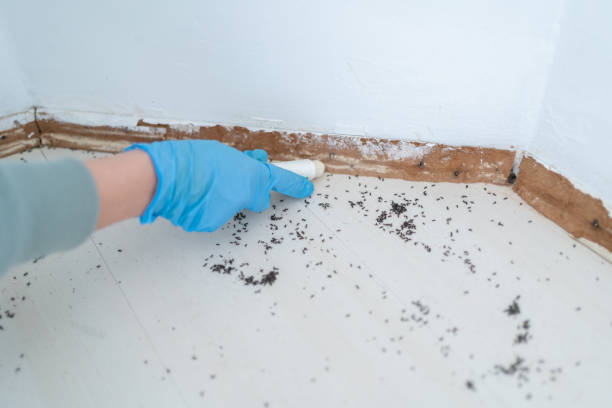 Best Best Pest Control Companies  in Poplar Cotton Center, CA