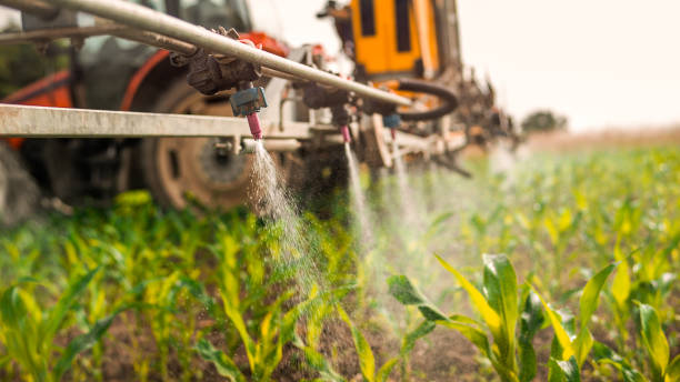 Best Termite Control Services  in Poplar Cotton Center, CA