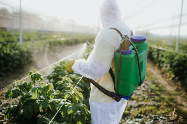 Trusted Poplar Cotton Center, CA Pest Control Experts
